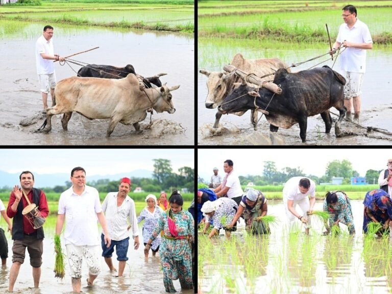hindi-news