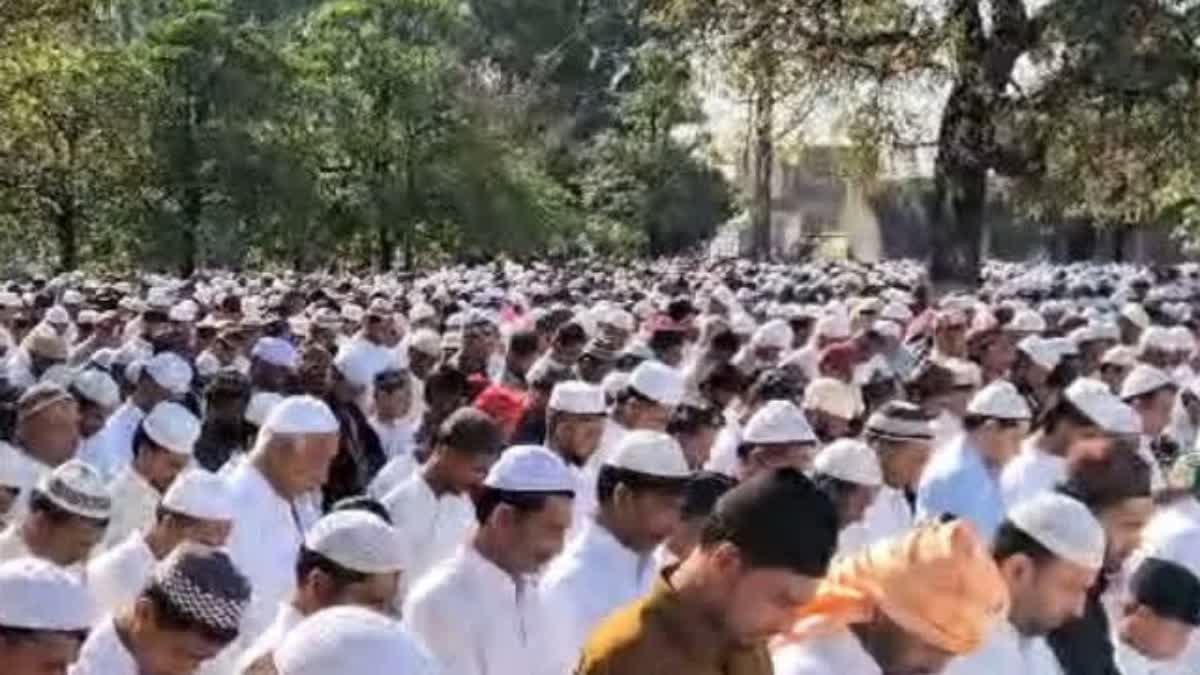 hindi-news