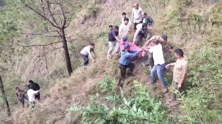 hindi-news