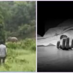 hindi-news