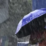 hindi-news