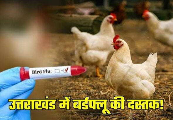 hindi-news