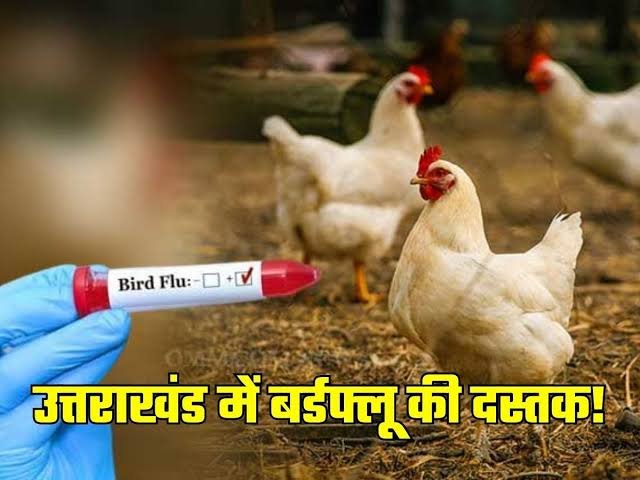 hindi-news