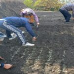 1200-675-27944300-thumbnail-16x9-farming-aspera