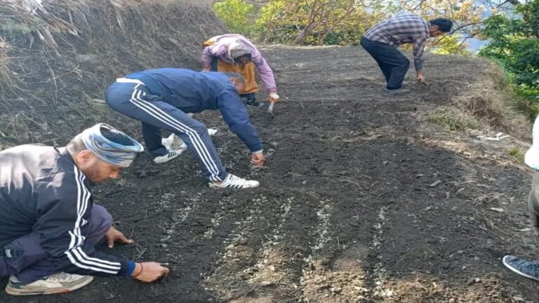 1200-675-27944300-thumbnail-16x9-farming-aspera